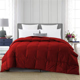 Luxury summer Comforter Red 1 Piece